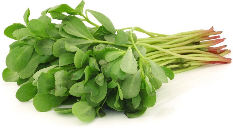 XOLDA Organic Kulfa Purslane Seed  (93 per packet)