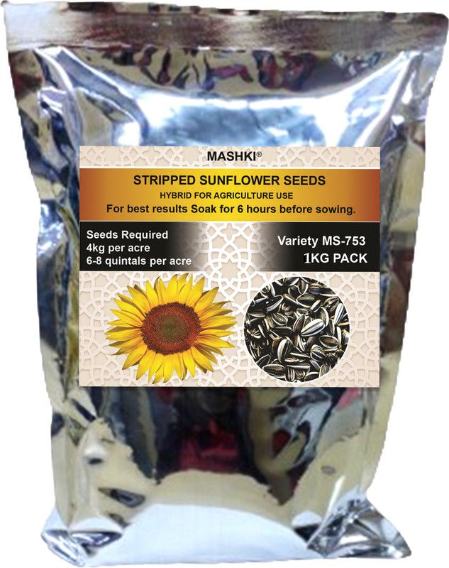 MASHKI Hybrid Sunflower Seeds for Farming, Surajmukhi ke beej, 1Kg Bag, suitable for Home Gardening and Farming, 10000 SEEDS Per KG Seed  (1 kg)