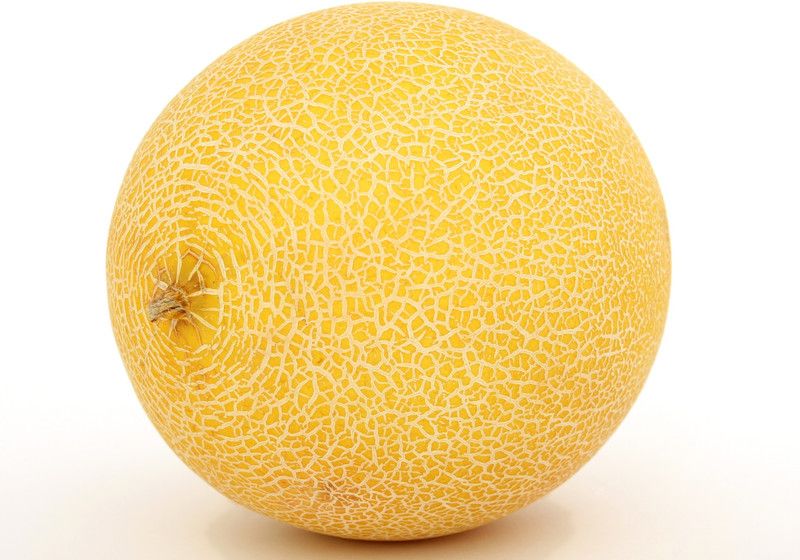 XOLDA MuskMelon Hybrid Seed  (50 per packet)