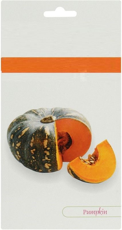 WILLVINE HUA-7 Hybrid Pumpkin Seeds Seed  (100 per packet)