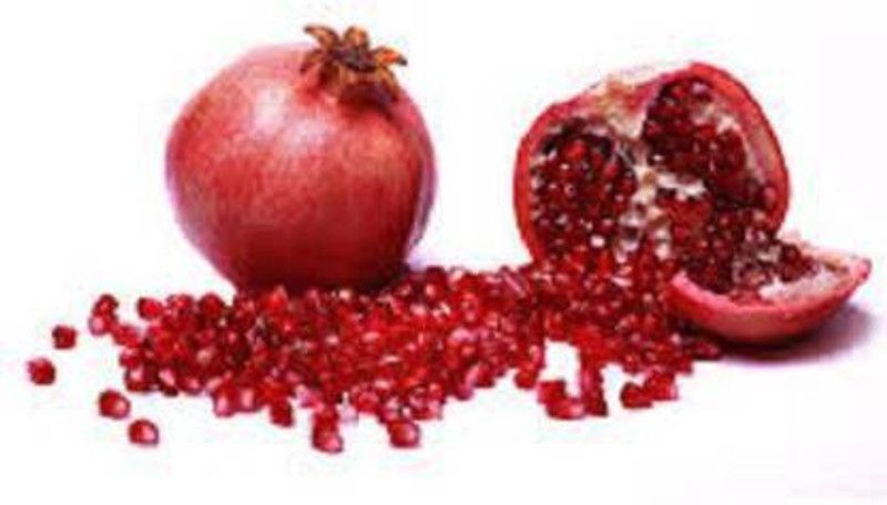 Zomoloco Pomegranate Plant  (Hybrid, Pack of 1)