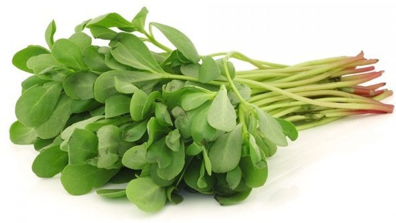 XOLDA Organic Kulfa Purslane Seed  (78 per packet)