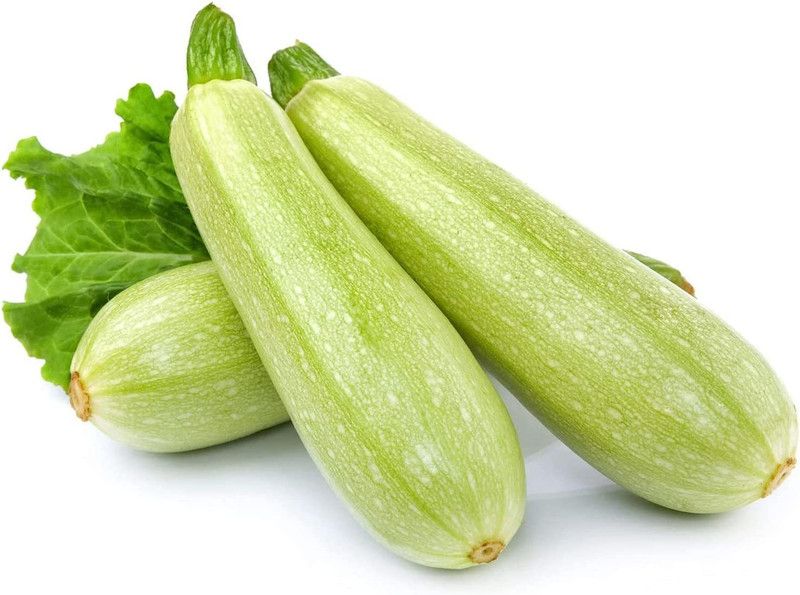 CYBEXIS ATS-33 - Zucchini Squash - (675 Seeds) Seed  (675 per packet)