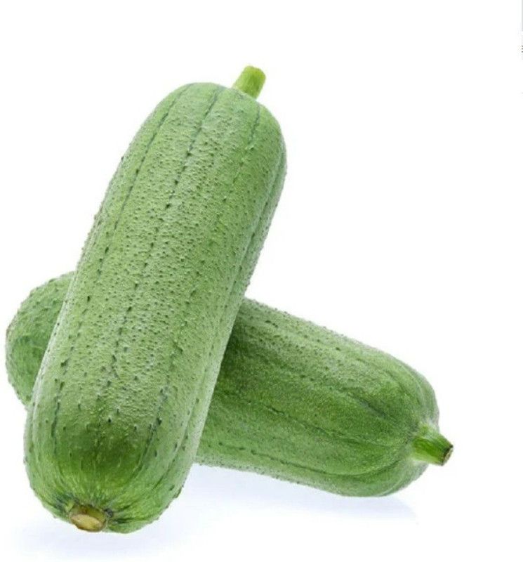 UGRA Gourd Luffa Cylindrica Seed  (1000 per packet)
