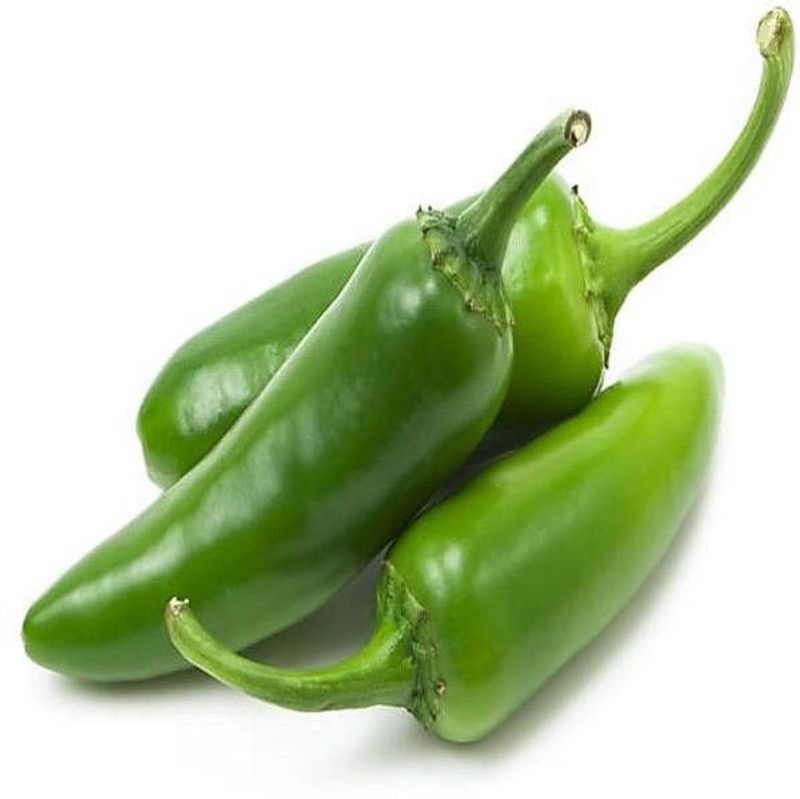 Mozette Hybrid Chilli Vasudha Seed  (70 per packet)