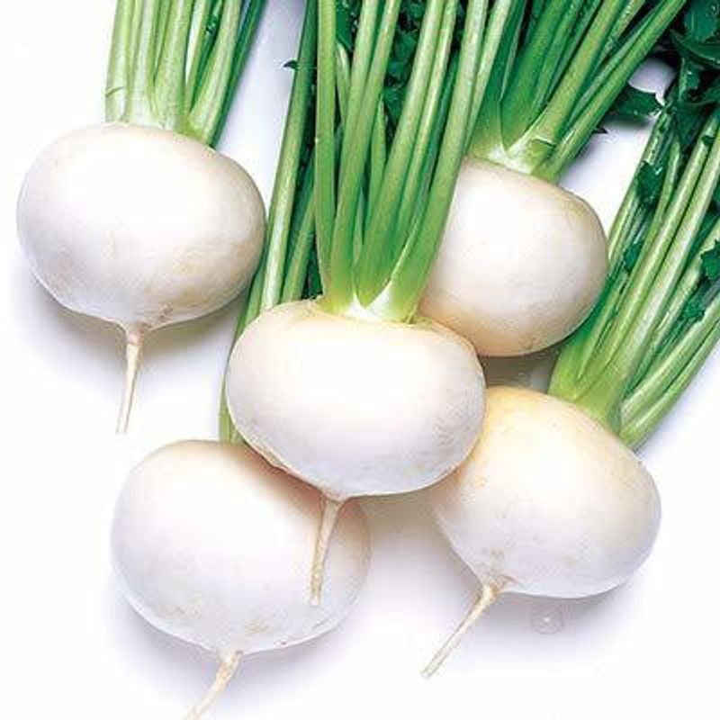 Mozette Turnip White Seed  (42 per packet)