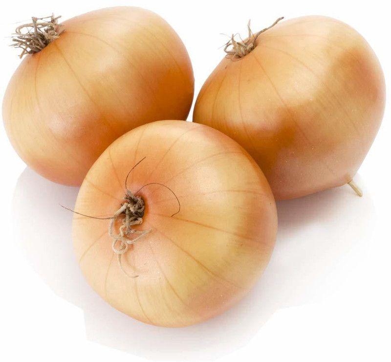 WILLVINE HUA-966 Onion Orange Seeds Seed  (1000 per packet)