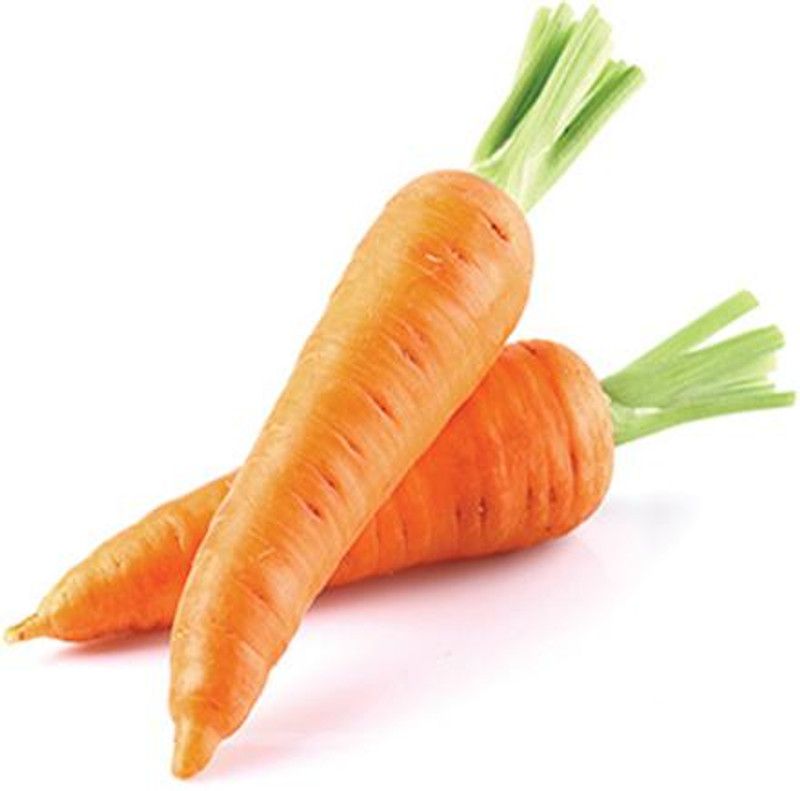 XOLDA Organic carrot Seed  (23 per packet)