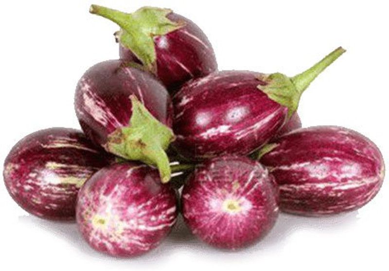 Xesas Brinjal Chu Chu Seed  (30 per packet)