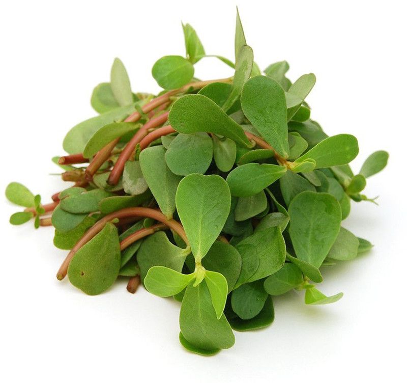 XOLDA Kulfa/Purslane Seed  (27 per packet)