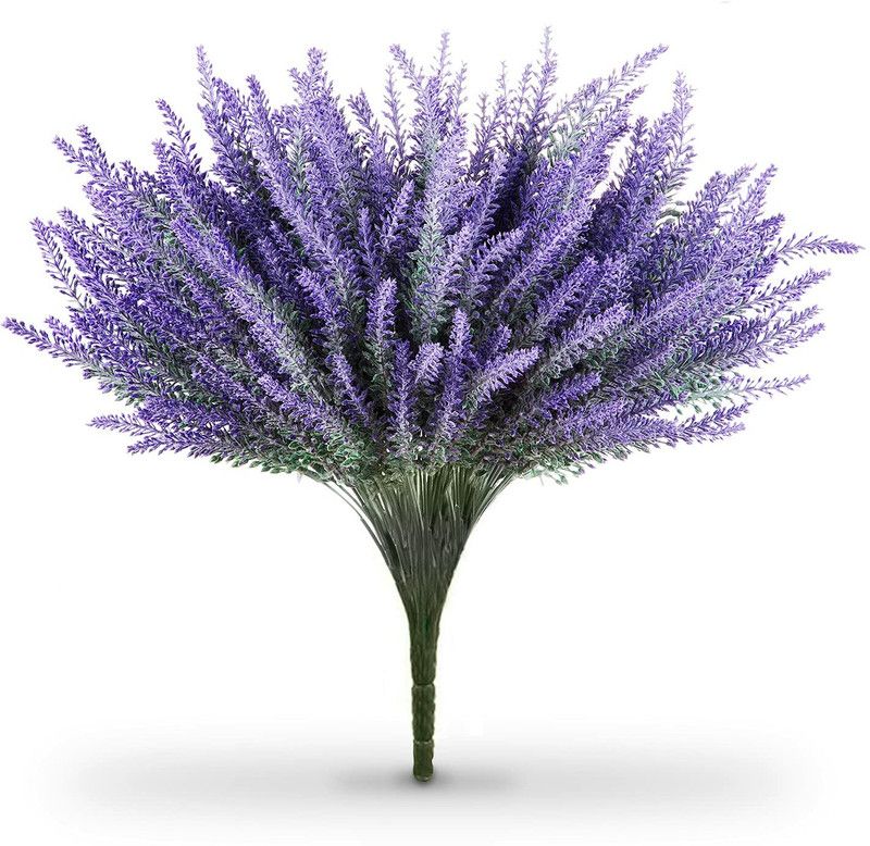 Mozette Lavender herbs Seed  (30 per packet)