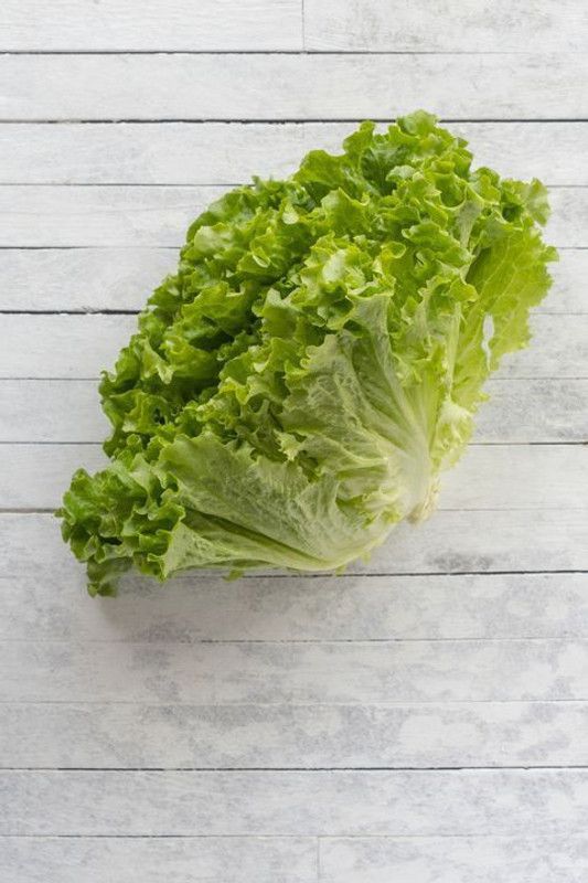 Paudha Lettuce curly Seed  (25 per packet)