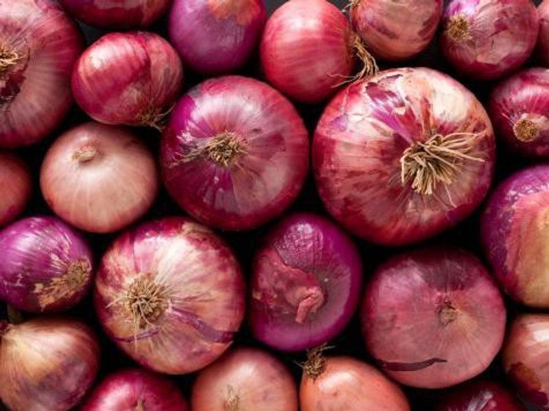 Paudha Onion Seed  (77 per packet)