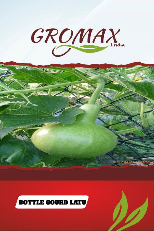 Gromax India Bottle Gourd Latu Seed  (40 per packet)
