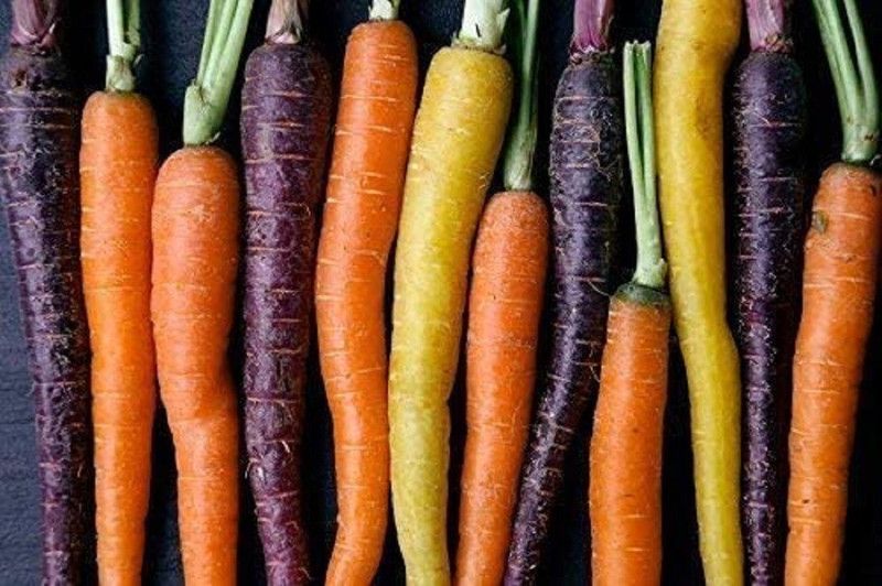 WILLVINE Saint Valery Carrot Seed  (1000 per packet)