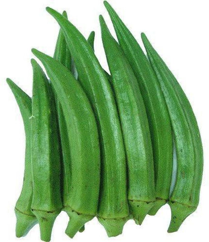PEARL Ladies Finger/Bhendi F43 Seed  (280 per packet)