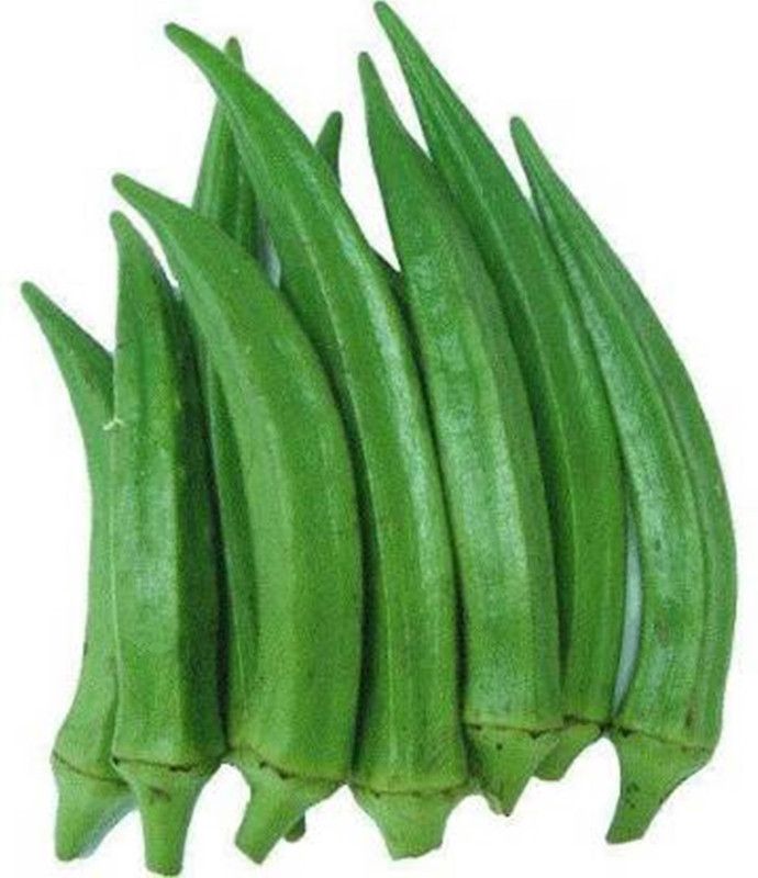 SJ STOCKS OKRA BHINDI Seed  (400 per packet)