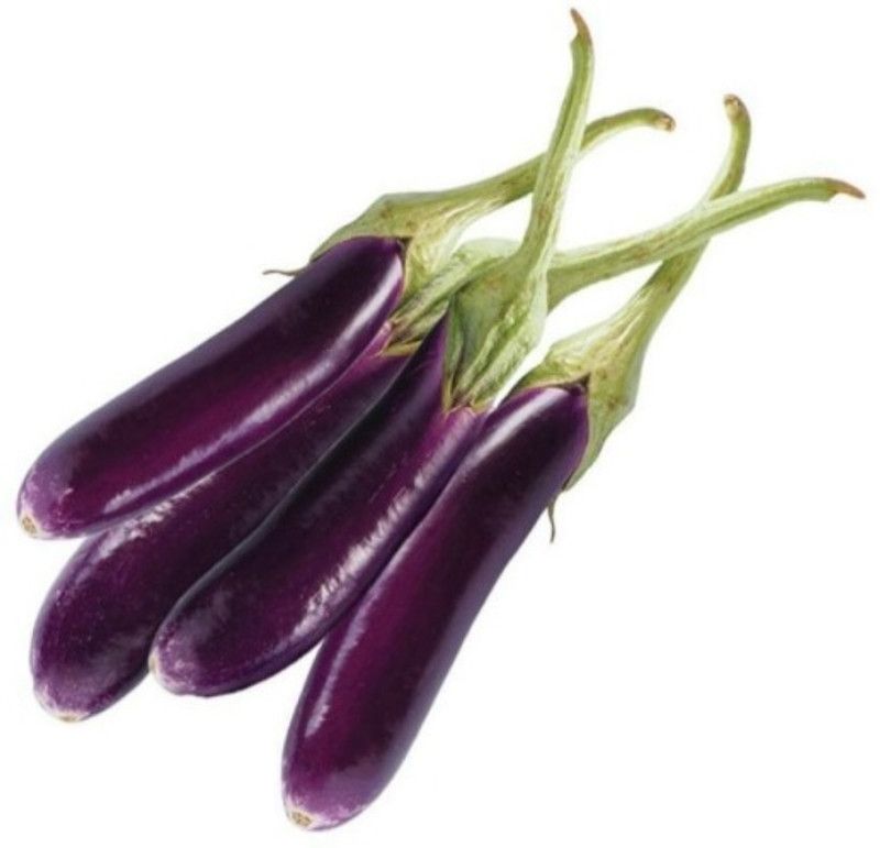 Caliber BRINJAL Purple Long Seed  (150 per packet)