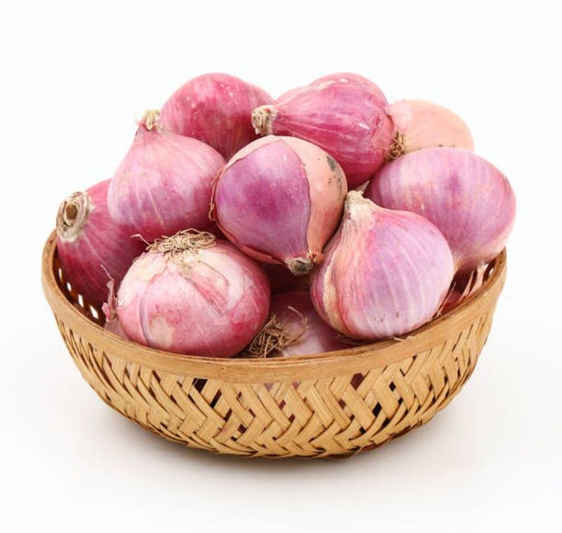 ZOTIKOS Red Onion Seed  (20 per packet)
