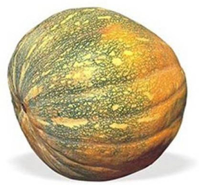Fresh Desi Pumpkin Seed  (290 per packet)