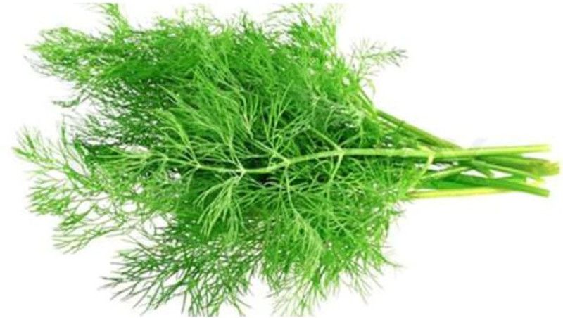Mozette Soya Seed  (45 per packet)