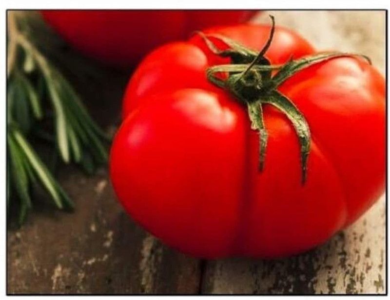 VibeX ® LXI-79 Beefsteak Tomato Seeds Seed  (200 per packet)