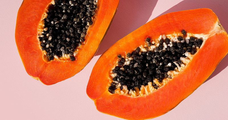 Platone Papaya Plant  (Hybrid, Pack of 1)
