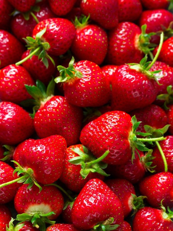 XOLDA Organic Strawberry Fruit Seed  (62 per packet)