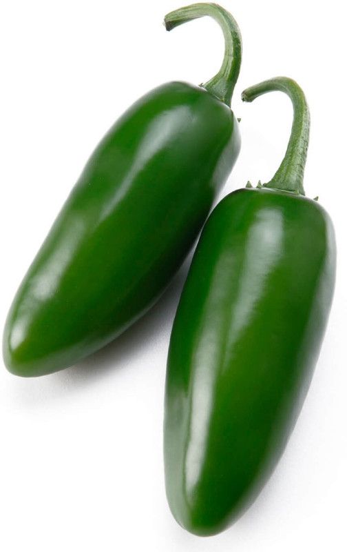 Paudha Jalapeno Seed  (51 per packet)