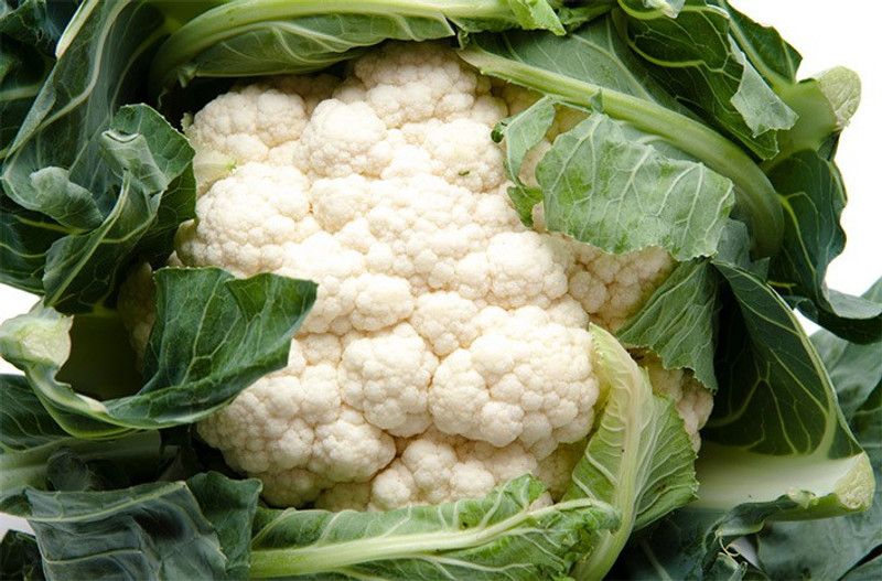 ANDOR गोभी Cauliflower Phool Gobhee/Phul Gobhi Seed  (400 per packet)