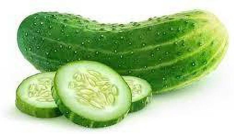 The Entacloo Ashley Cucumber / Kheera Seeds- Seed  (90 per packet)
