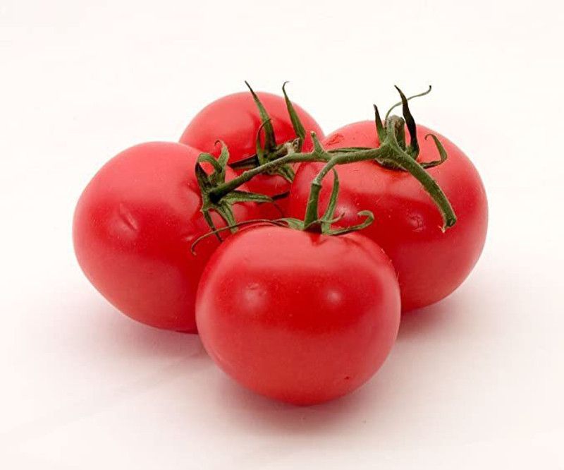 KANAYA Italian Red Cherry Tomato Vegetable Seed  (950 per packet)
