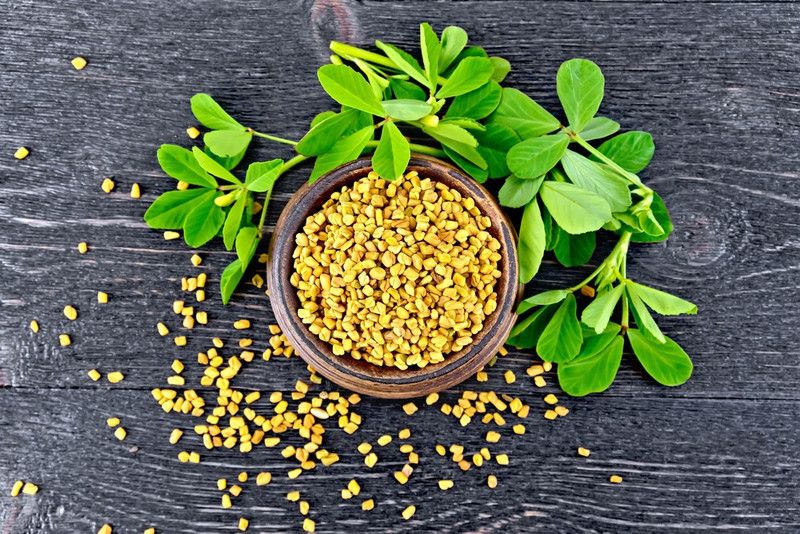 Paudha METHI Seed  (25 per packet)