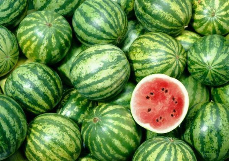 Mozette Watermelon Seed  (50 per packet)