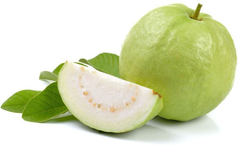 Paudha Guava Fuit Seed  (41 per packet)