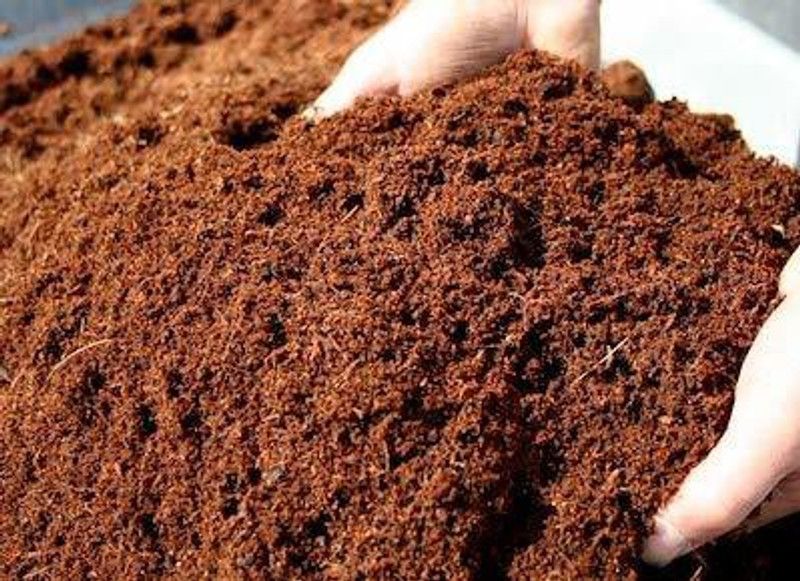 WALK GARDEN WALK GARDEN Organic Cocopeat Loose for Indoor & Outdoor Plants, Kitchen Garden, Terrace Gardening Soil Mixture Fertilizer Fertilizer, Manure, Potting Mixture  (8 kg, Granules)