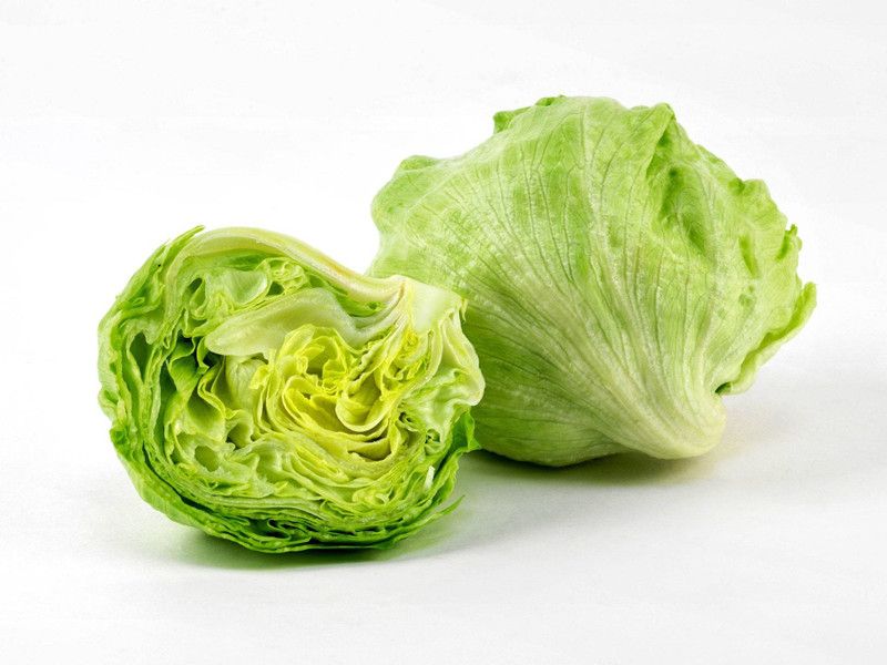 Nodoc Lettuce Seed  (41 per packet)