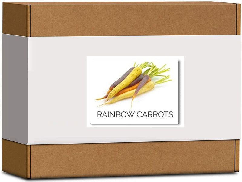CYBEXIS High Germination Rainbow Carrot Seeds-500 Seeds Seed  (500 per packet)