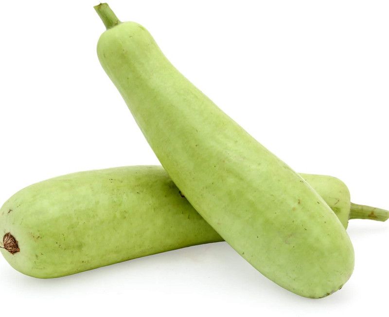 UGRA Bottle Gourd Hybrid Seeds Seed  (40 per packet)
