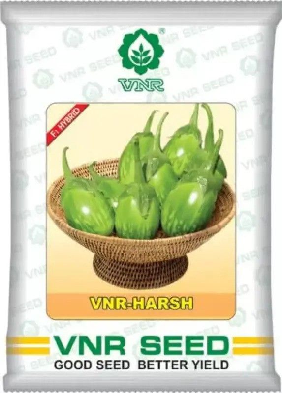 FRESHO vnr harsh brinjal seeds Seed (10 g) Seed  (20 per packet)