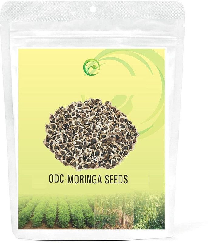 MKR ENTRPRISES Moringa Seed  (180 per packet)