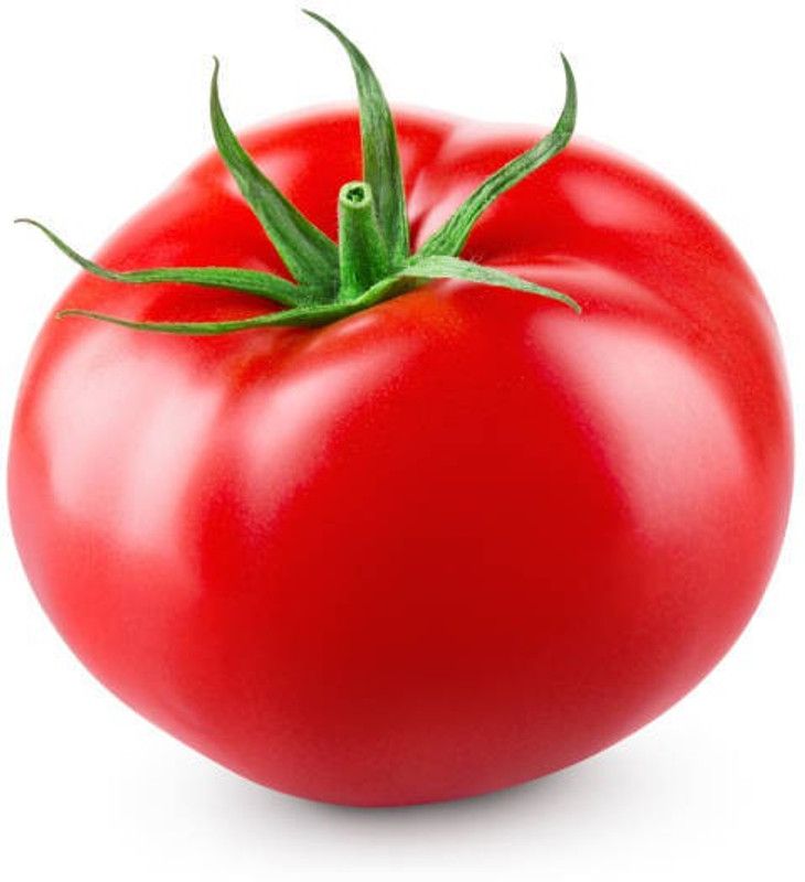Splorias Hybrid tomato Seed  (40 per packet)