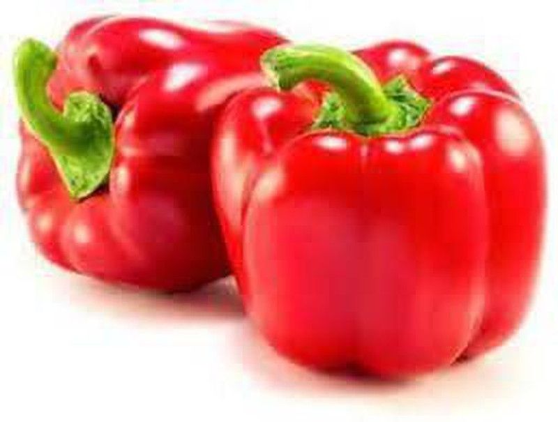 JRYU Capsicum(Shimla Mirch) Seed  (1000 per packet)