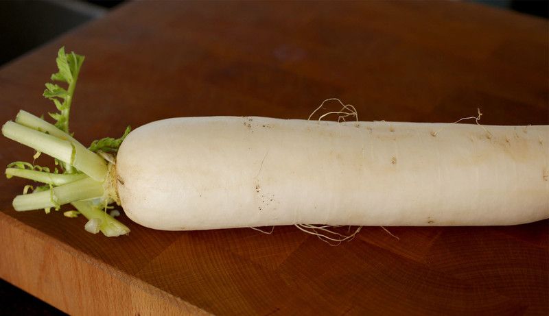 VINTI Radish Victora Seed  (500 per packet)