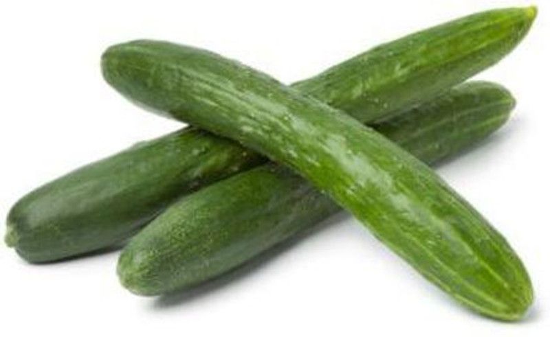 XOLDA Cucumber Seed  (45 per packet)