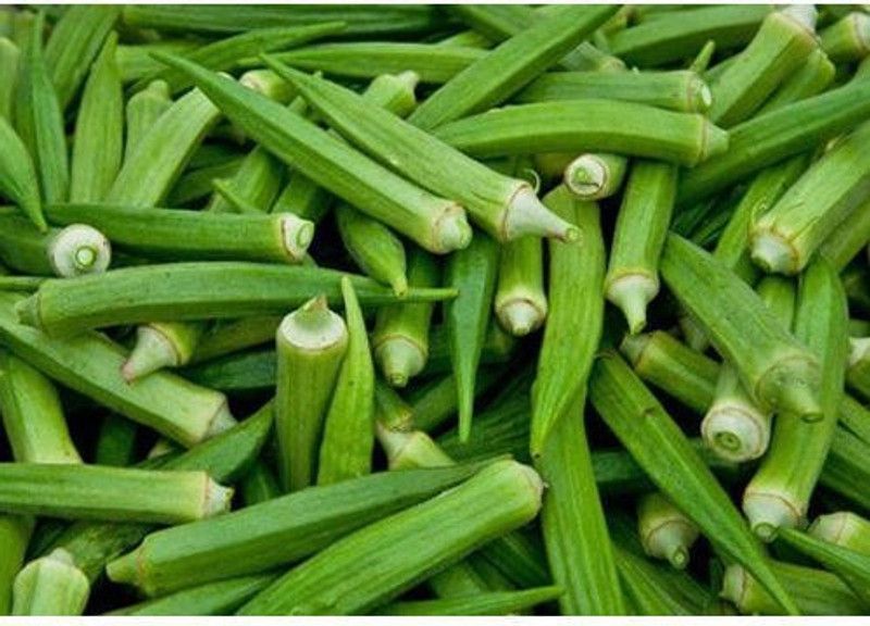 UGRA Ladies Finger/Bhendi F41 Seed  (116 per packet)
