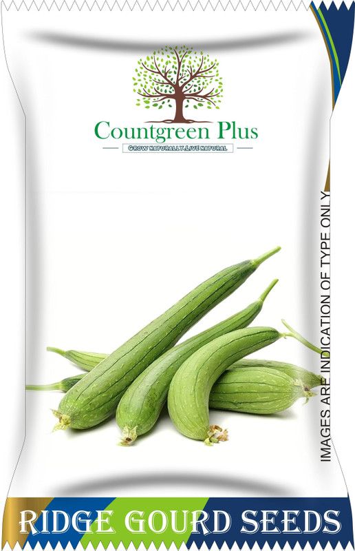 Countgreen Plus Sponge Gourd (Torai) Vegetable Seeds Seed  (20 per packet)