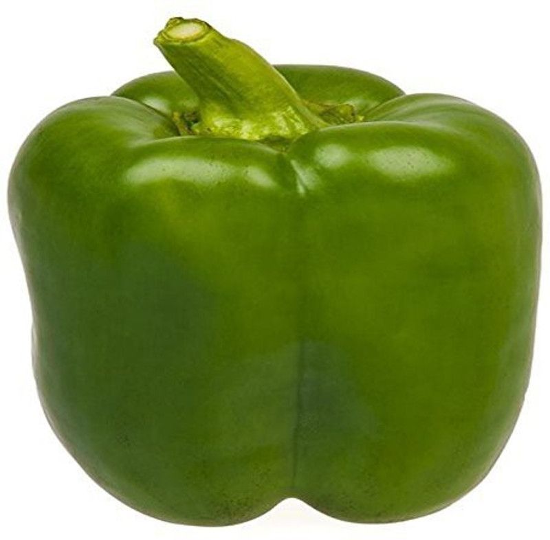 KANAYA Green Capsicum Seed  (500 per packet)