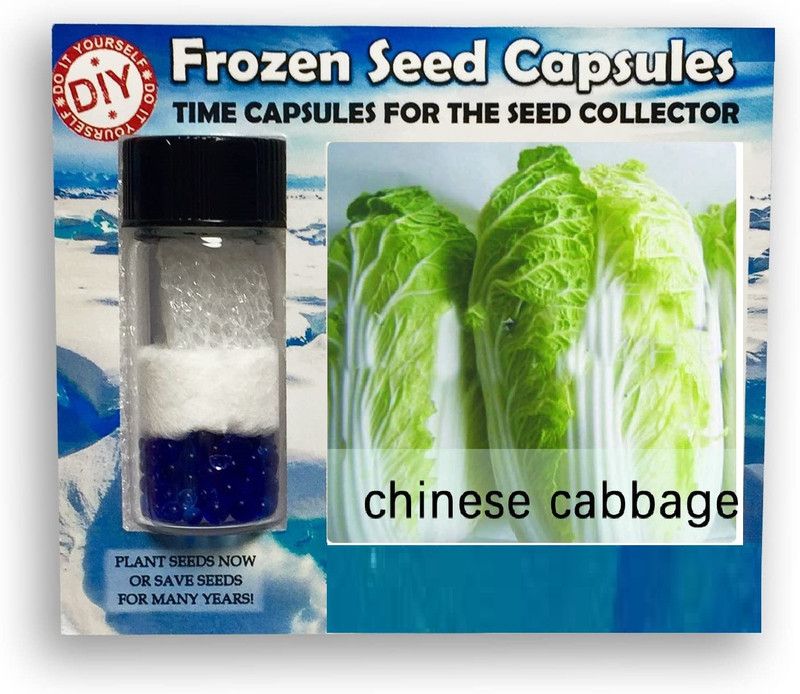 Qualtivate ™ Chinese Cabbage Frozen Seeds Time Capsule(200 Seeds) Seed  (200 per packet)