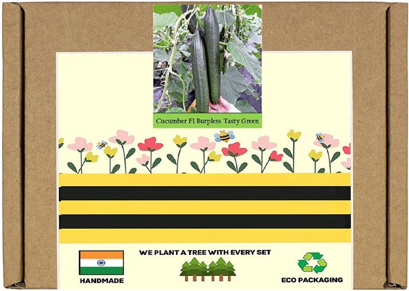 CYBEXIS F1 Hybrid Cucumber Green Seeds1000 Seeds Seed  (1000 per packet)